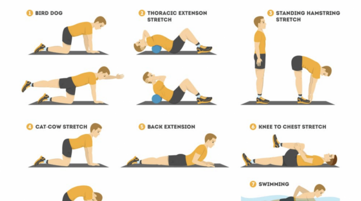 Exercises for lower back fat